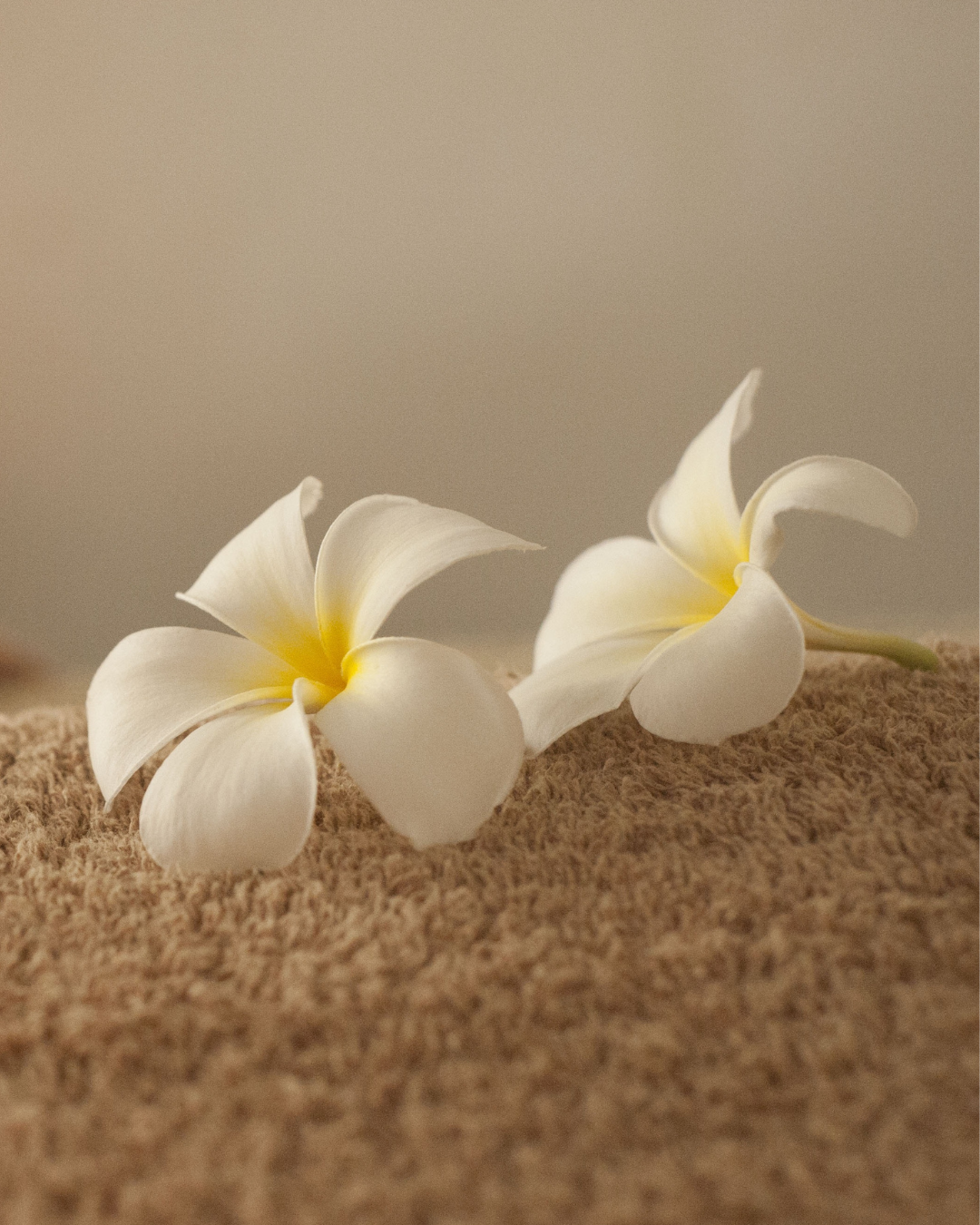 עיסוי תאילנדי מסורתי